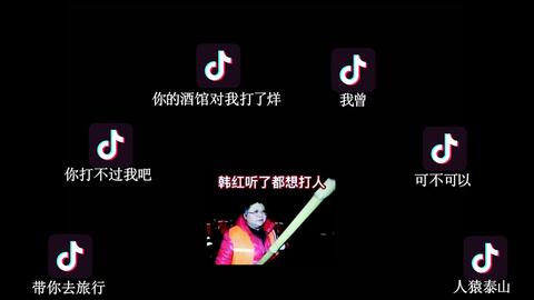 抖音热门歌曲，流行风潮揭示年轻人的心声