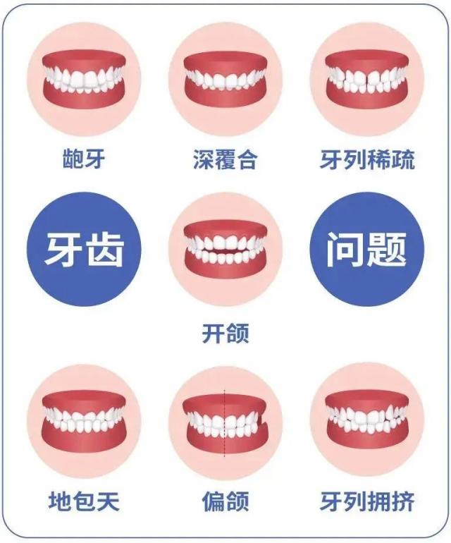 牙齿集采最新动态，政策动向及市场反应一览