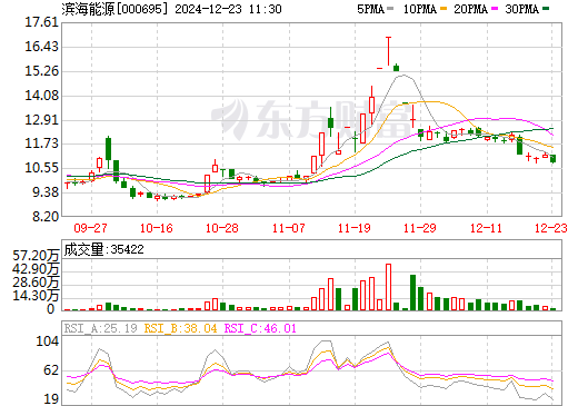 滨海能源重组最新消息深度解读与分析