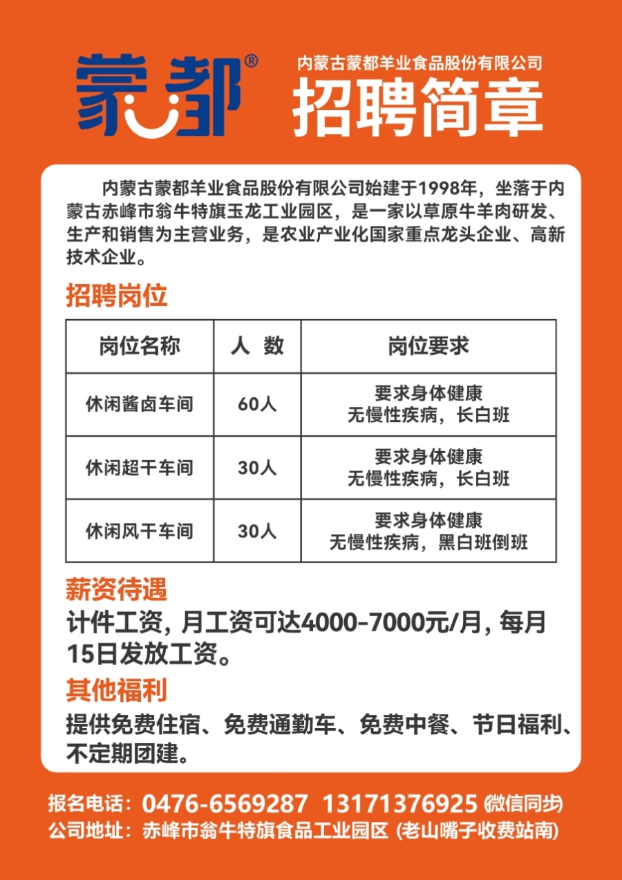 玉都风情网招聘动态更新，探索职业新机遇，共绘未来蓝图