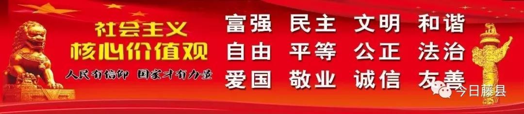 藤县最新新闻报道发布