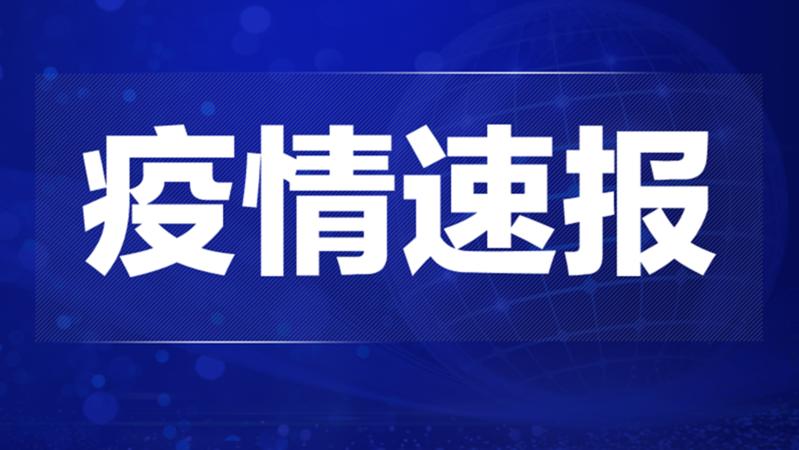 全球最新确诊病例动态分析简报