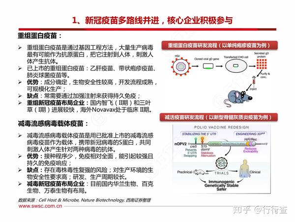 国药股份最新疫苗进展引领全球抗疫，行业前沿助力战疫胜利