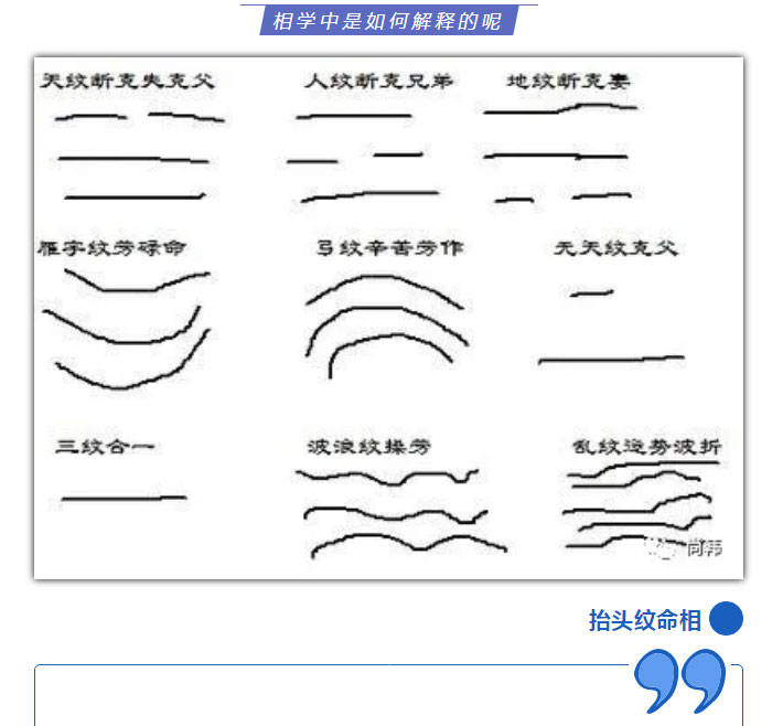 天纹缠最新答案深度解读