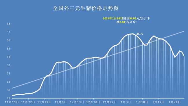 生猪最新猪价行情解析