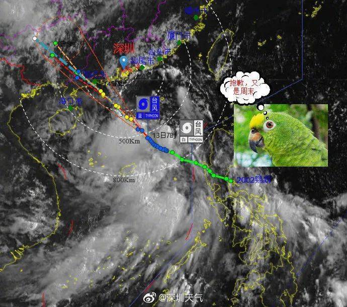 台风鹦鹉最新路径分析及其影响概述