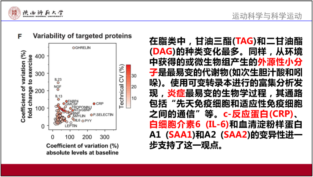 澳门最精准免费资料大全，详细解答解释落实_r9430.03.85