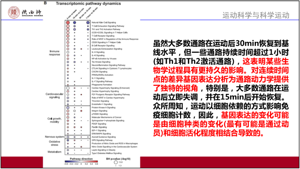 2024年香港正版资料大全，全面解答解释落实_bel50.07.00