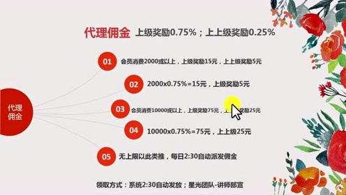 揭秘提升一肖一码100%，全面解答解释落实_f336.49.06