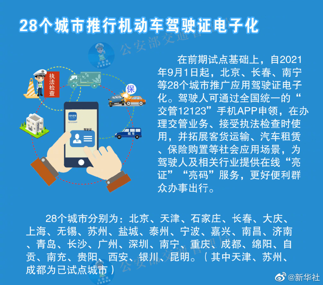 2024新澳资料免费大全，构建解答解释落实_wks31.24.03