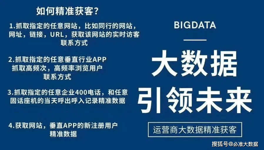 2024新澳精准资料免费，深度解答解释落实_gls85.91.98