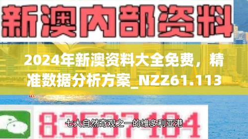 2024新澳精准资料免费，前沿解答解释落实_4295.49.97