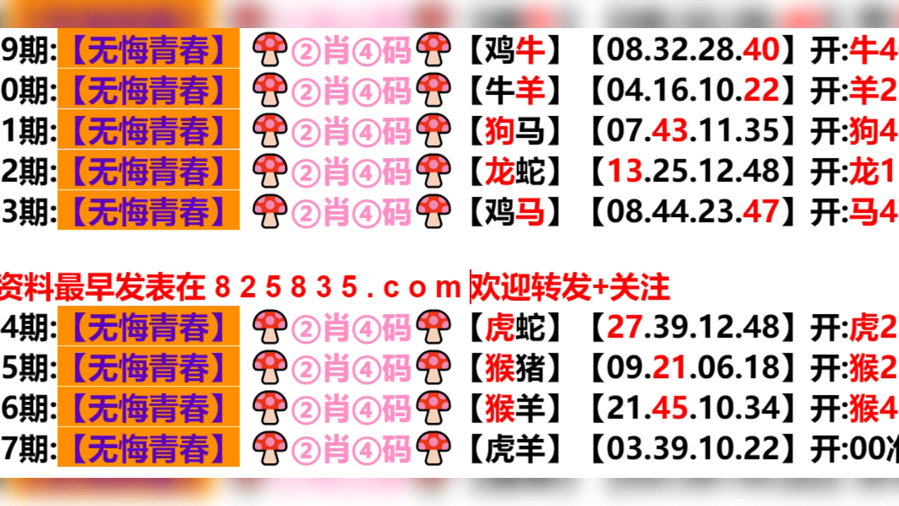 2024新澳门天天开好彩大全孔的五伏，精准解答解释落实_8ho14.88.81