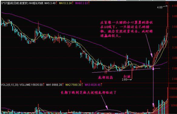 2024新澳门今晚开特马直播，精准解答解释落实_sq12.15.46