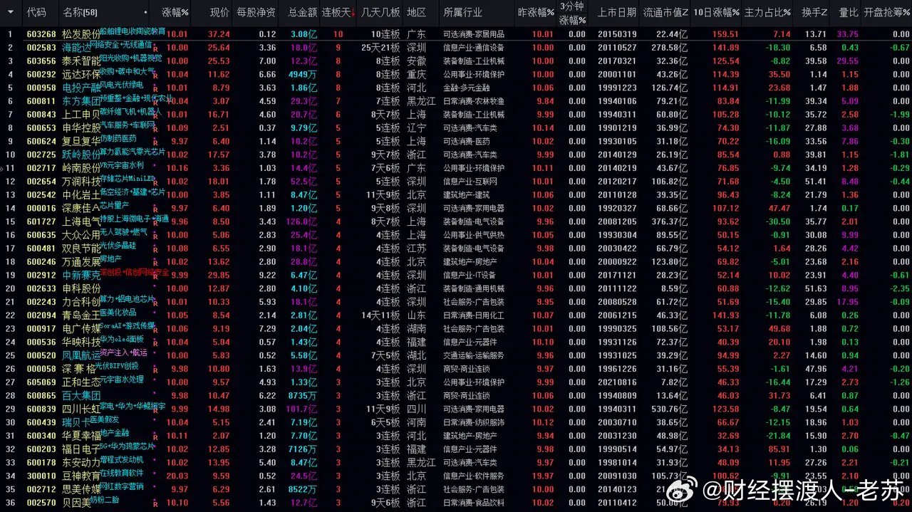 一肖一码100%，定量解答解释落实_is53.19.24