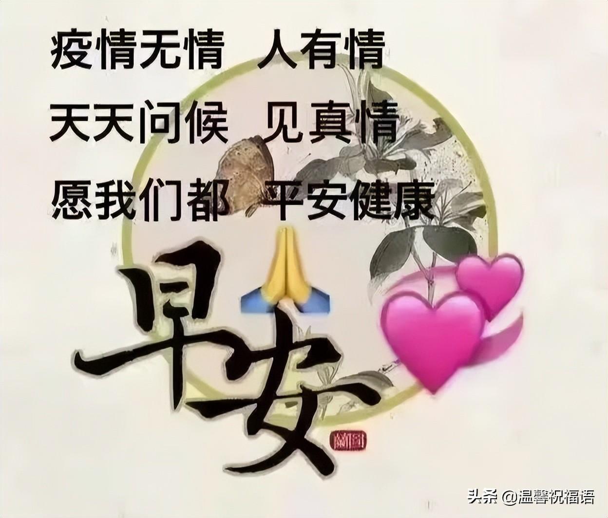 探索未知领域与无限可能的最新苍天