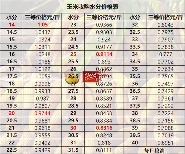 今日玉米市场最新报价与动态分析摘要