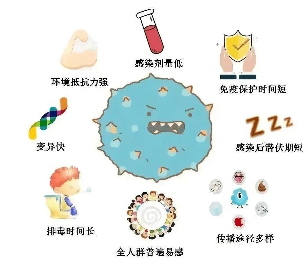 诺如病毒最新感染，理解、预防与应对策略