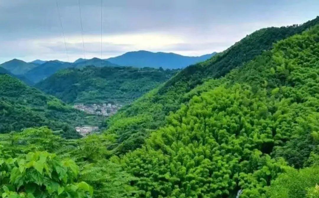 黑马最新版，重塑学习体验之旅