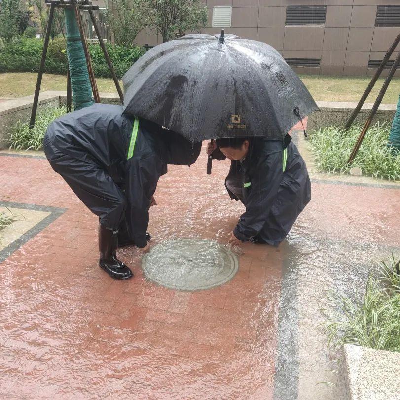 暴雨肆虐与最新台风动态更新