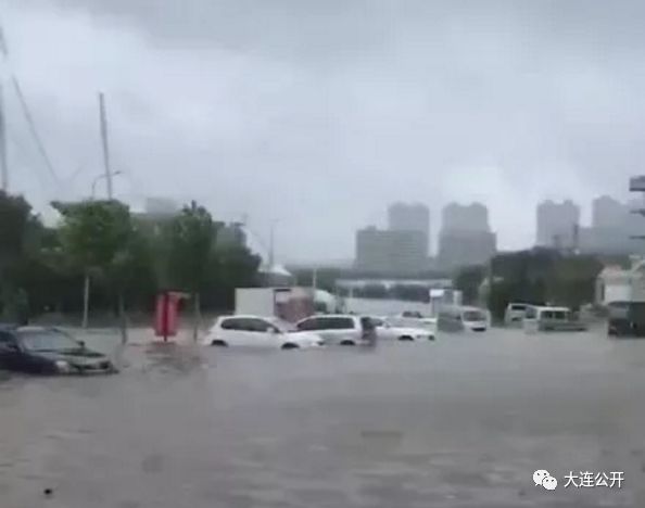 大连暴雨来袭，城市如何应对挑战的最新信息？