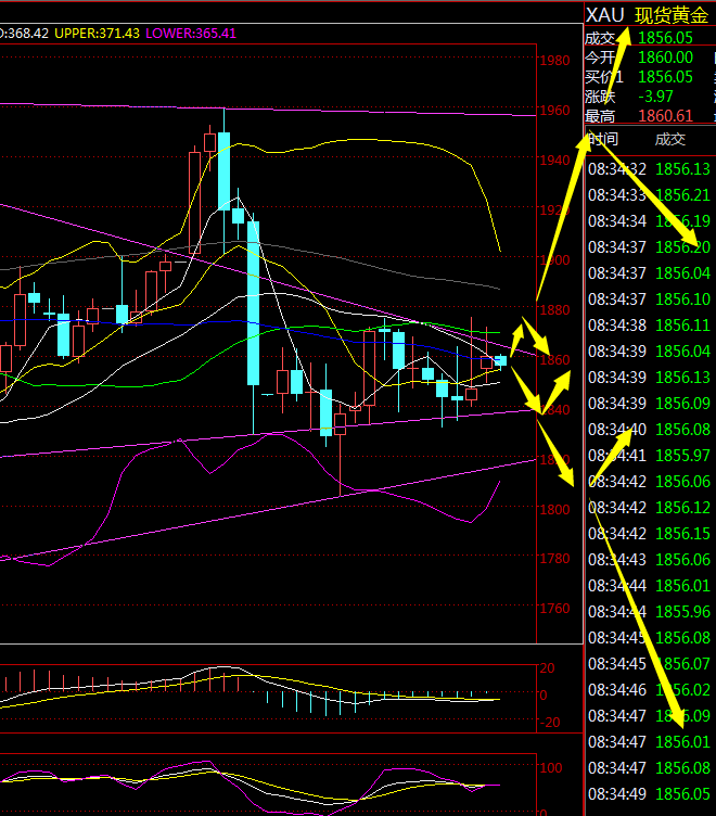 现货黄金今日行情深度解析